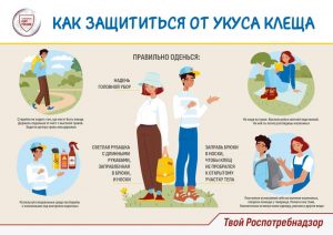 Как защититься от укуса клеща_pages-to-jpg-0001
