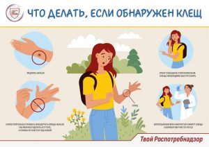 Что делать, если обнаружен клещ_page-0001